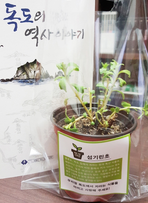 섬기린초는 세계적으로 울릉도를 포함한 독도에만 자생하는 한국의 고유식물이다.
