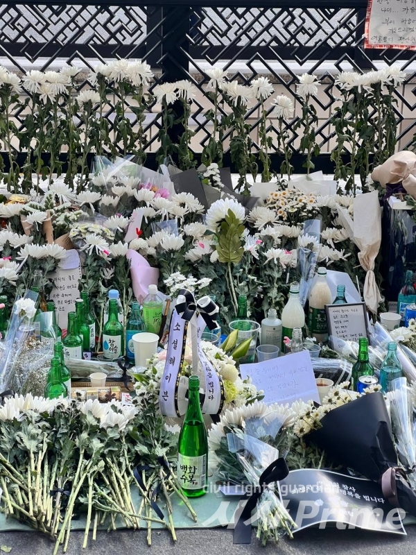 22. 10 30.  시민들이 이태원역 1번출구에 마련된 추모 공간에 들려 추모하기 위해 놓은 국화.  [사진=이은지 기자]