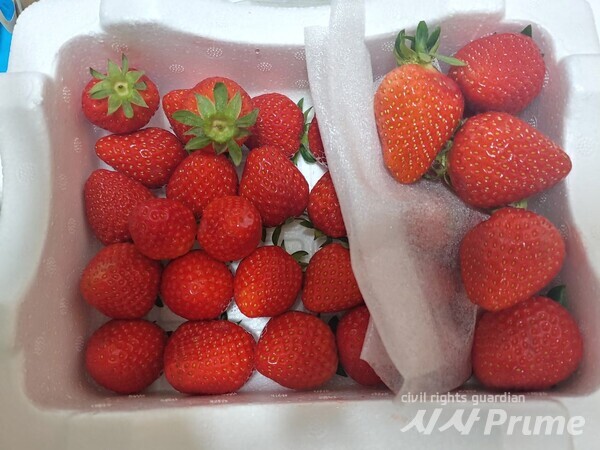 23. 5. 7.  마트서 구입한 딸기. 위아래 딸기가 다르다. [사진=제보자 박씨]